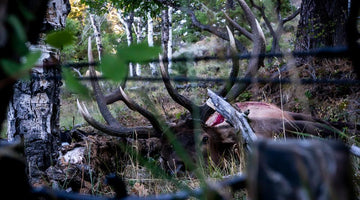 Elk Calling Mini Series Tip #4 - Before The Shot - Skre Gear