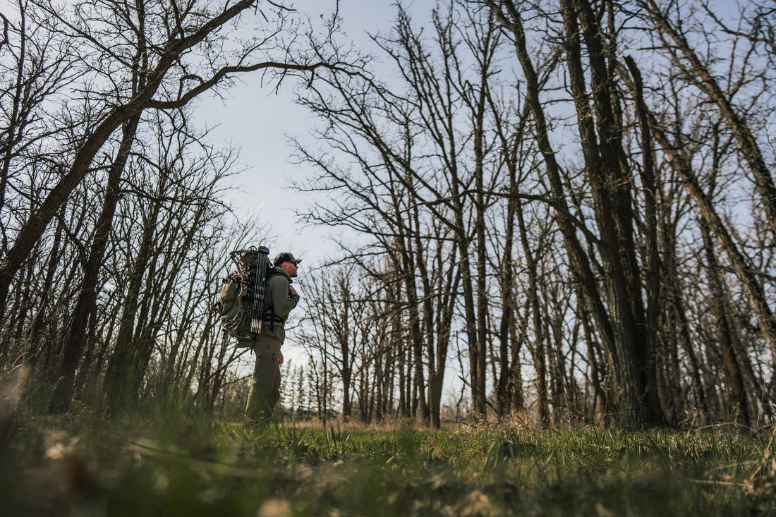 The Best Time of Day to Spot Spring Bears