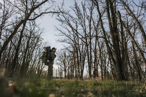 The Best Time of Day to Spot Spring Bears