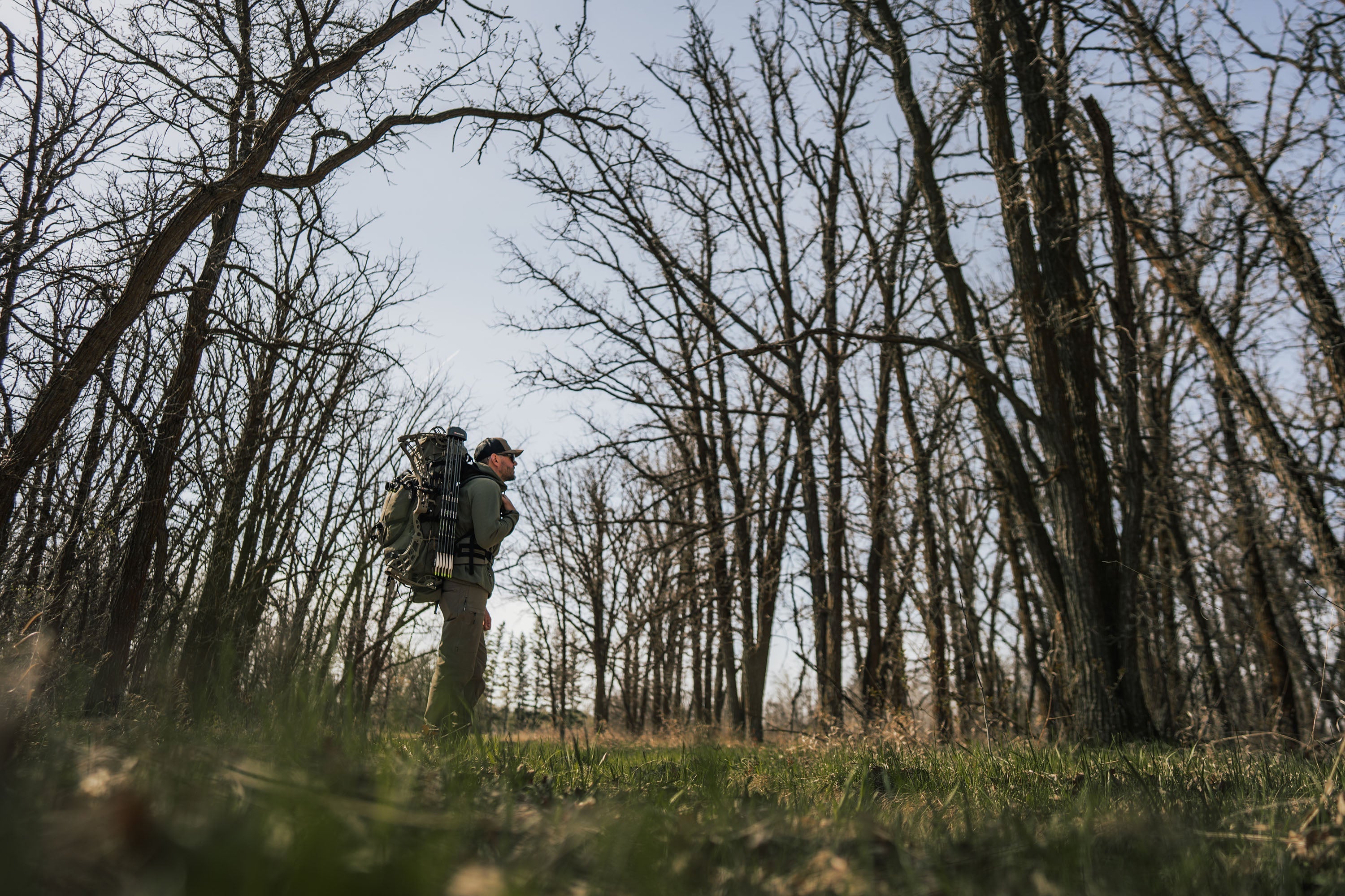 The Best Time of Day to Spot Spring Bears