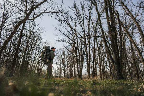 The Best Time of Day to Spot Spring Bears