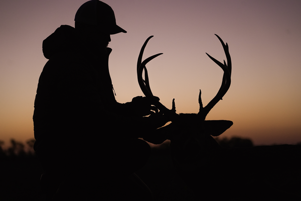 Understanding Mule Deer Behavior to Improve Your Hunting Success
