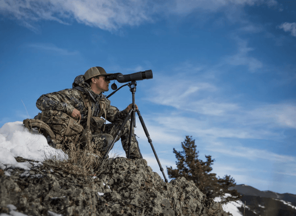 Hunting Mule Deer vs Whitetail