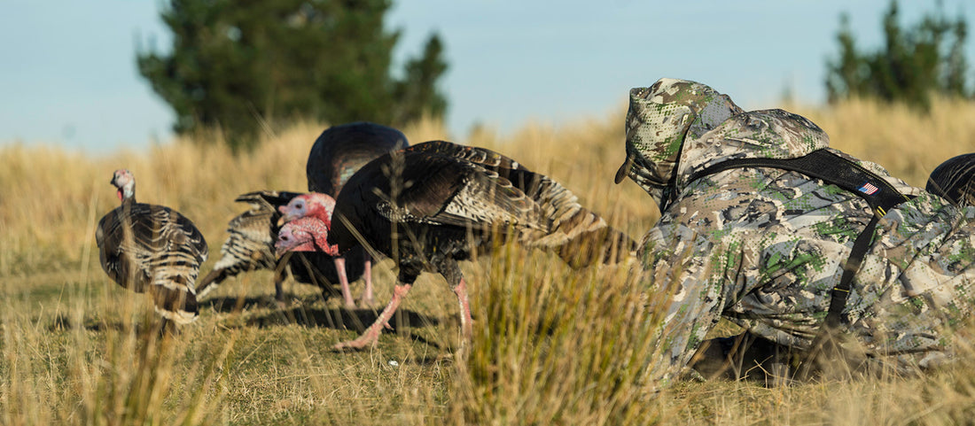 Turkey Hunting Tips: Concealment Techniques