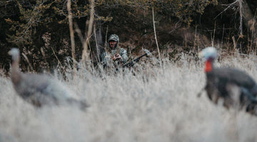 How To Turkey Hunt: A Beginners Guide
