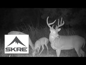 Late Summer Scouting for Whitetail Deer - Skre Gear