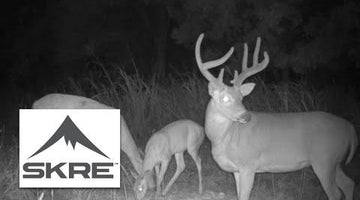 Late Summer Scouting for Whitetail Deer - Skre Gear