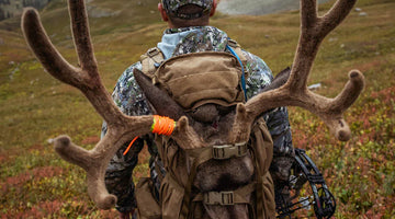 Mule Deer Tips and Tricks - The Mule Deer Hunter