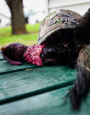 Turkey Hunting Tips: Processing Your Bird - Skre Gear