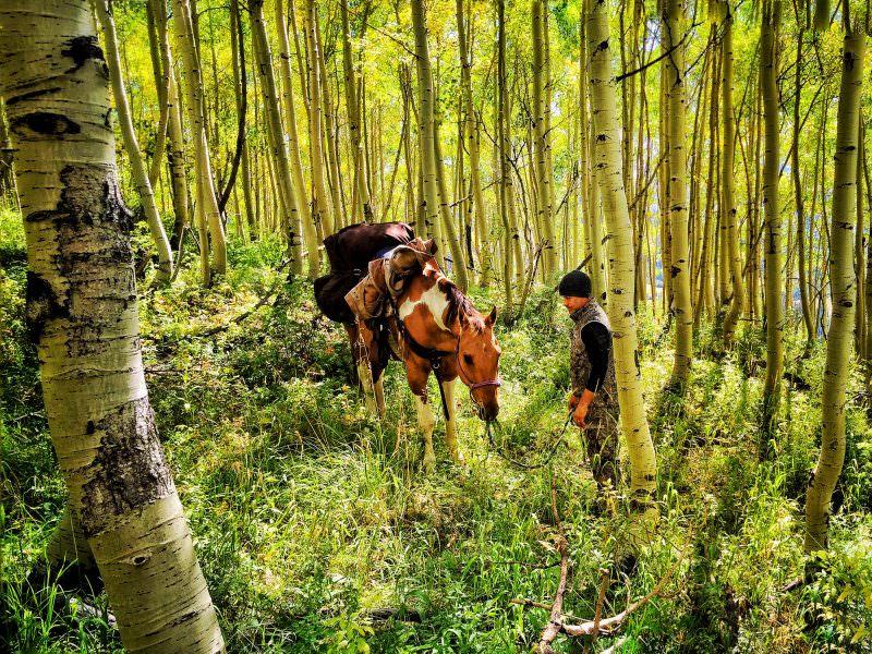 Why do we hunt? - Skre Gear