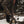 Hardscrabble Jacket | Skre Gear
