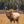 Load image into Gallery viewer, Elk Bundle | Skre Gear
