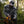 Delta Flannel Tops | Skre Gear