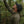Kaibab 300 Merino Wool Hoodie