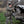 Kodiak Pant | Skre Gear