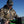 Ptarmigan 850 Ultra Down Jacket | Skre Gear