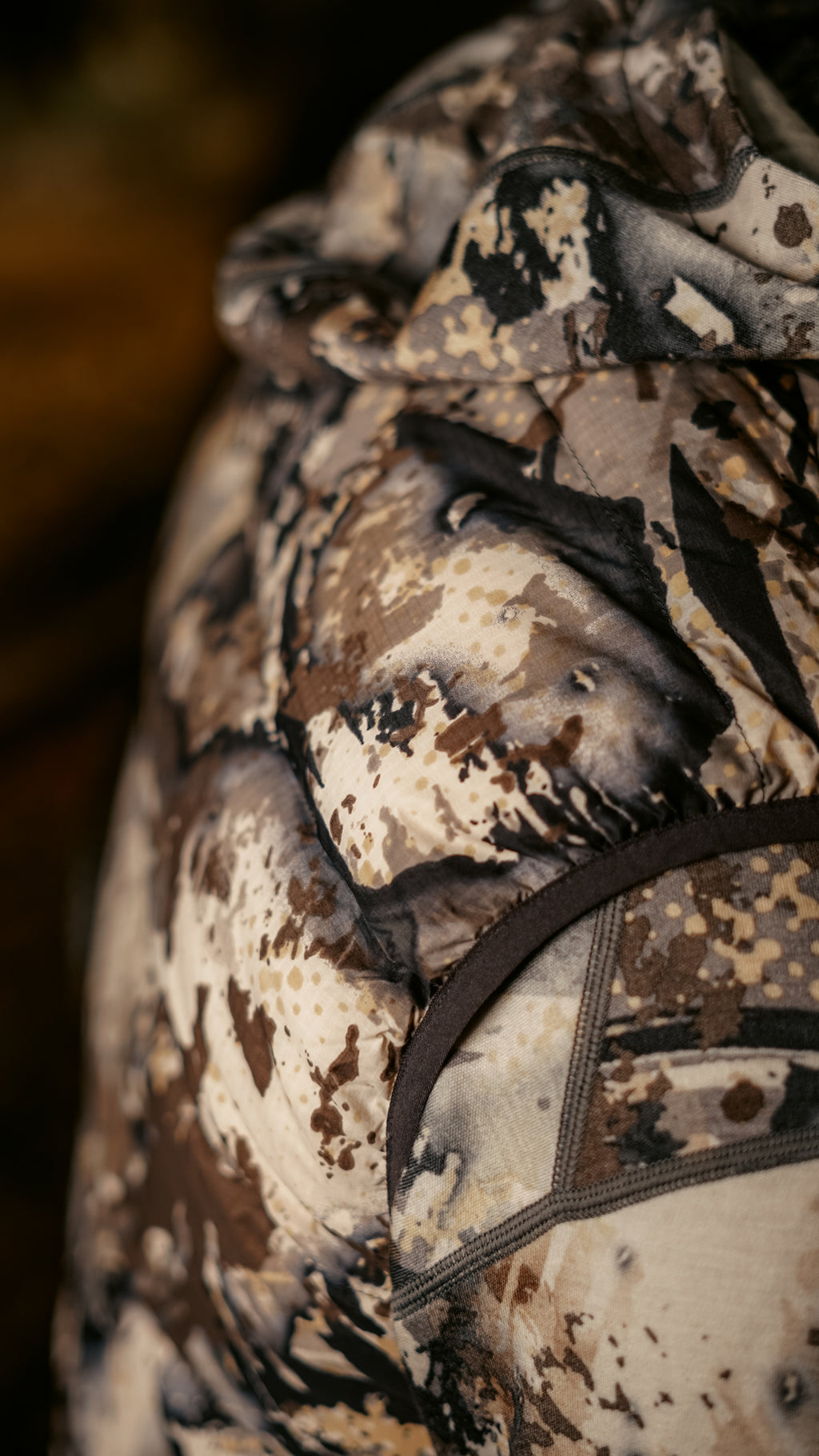 Ptarmigan 850 Down Vest Pro