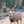 Load image into Gallery viewer, Mule Deer Bundle - Skre Gear
